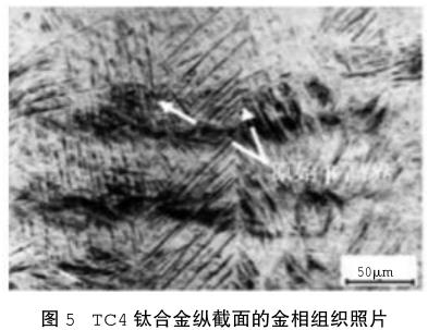 1686235623606613.jpg t5.jpg