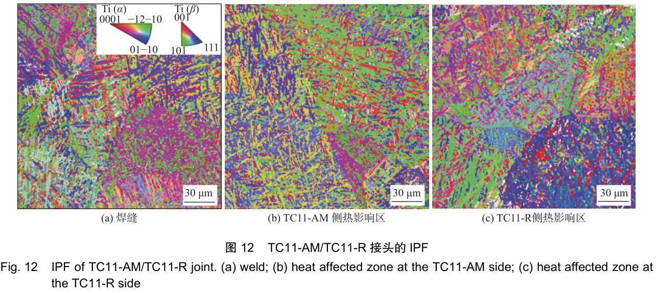 1706223019650855.jpg t12.jpg
