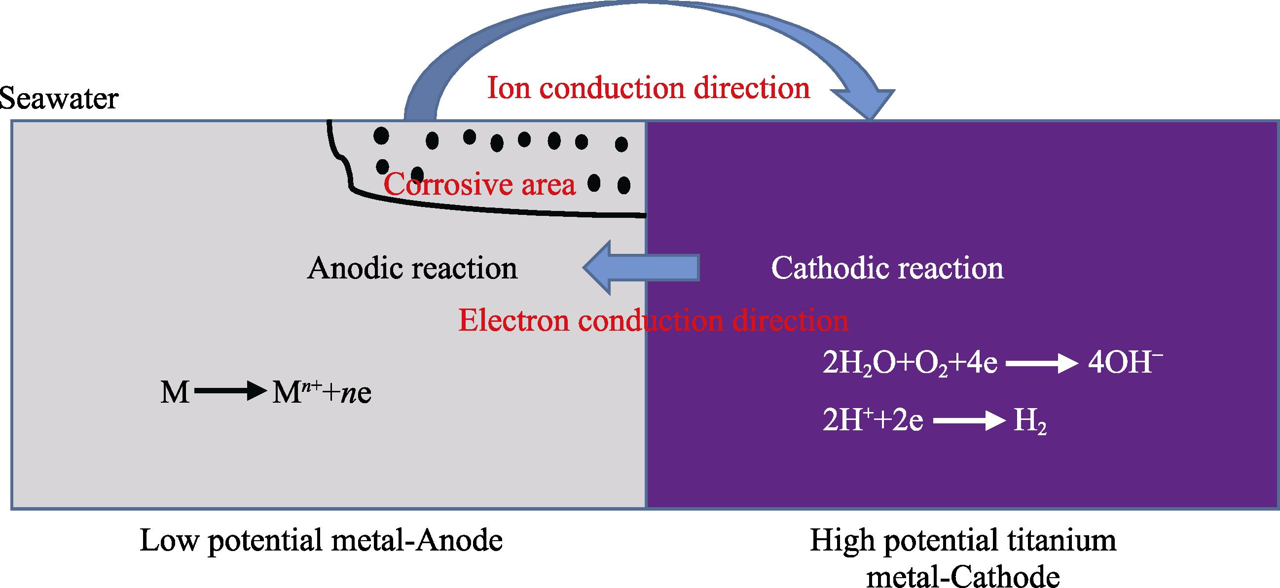 1709435817878264.jpg 8.jpg