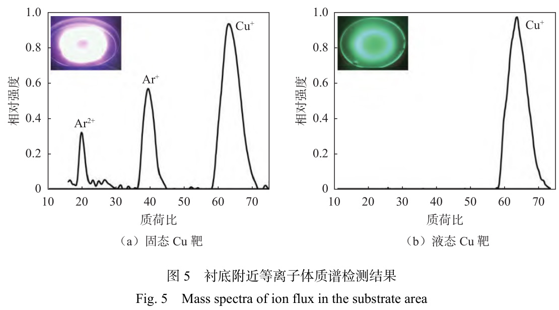 1728203464781784.jpg t5.jpg