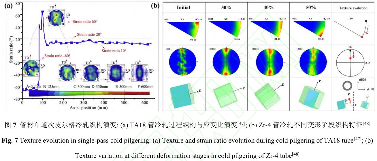 1729844225568078.jpg 7.jpg