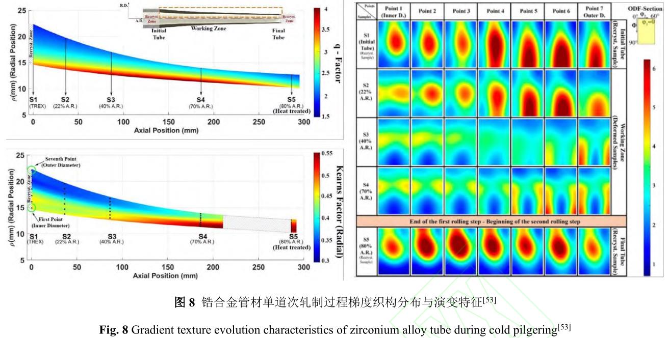 1729844233306556.jpg 8.jpg