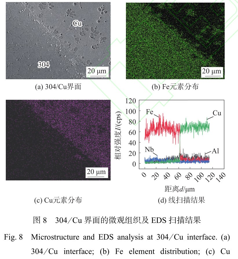 1735030050138289.jpg 8.jpg