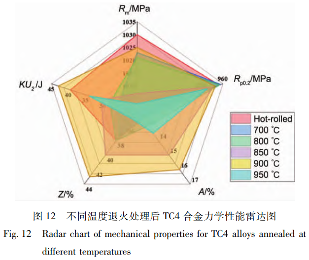 1768188421228702.png 截圖20260112111936.png